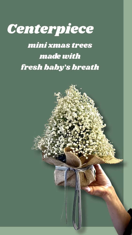 Baby’s Breath Xmas Centerpiece