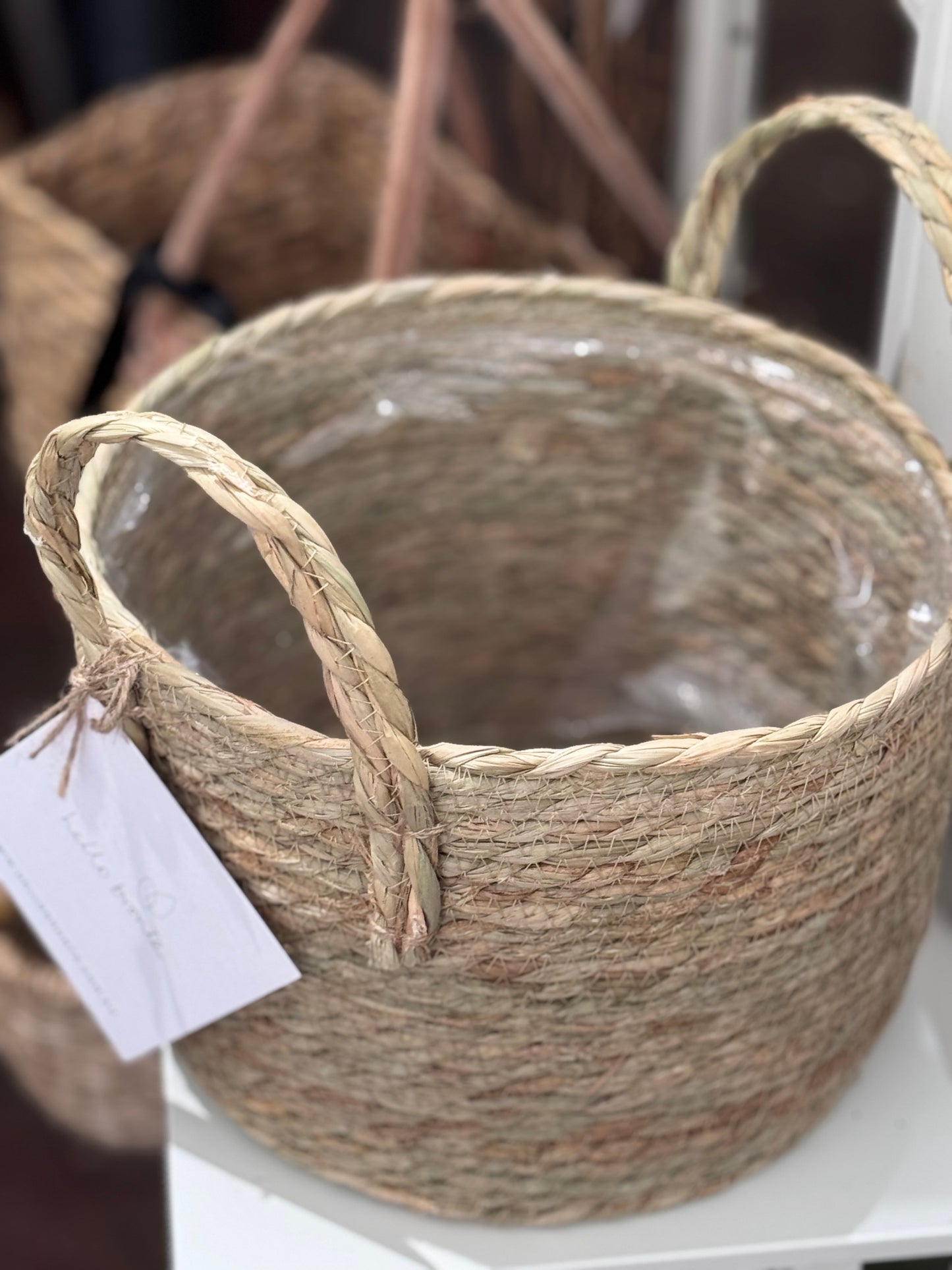 CYCLAMEN BASKET