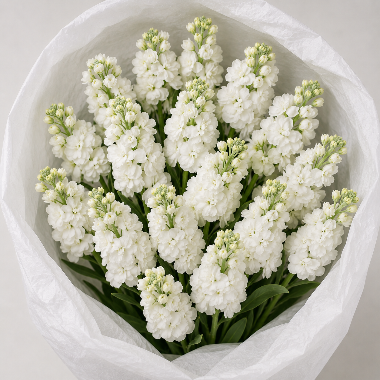 FLOWERS EN MASSE